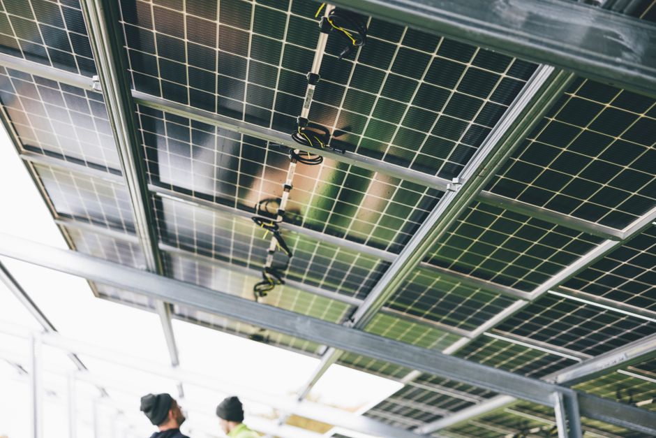 Local vs National Solar: Which Saves You More