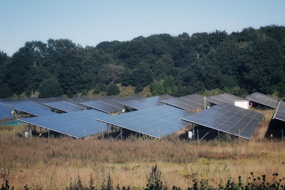 How Tree Shade Kills Solar Panel Performance