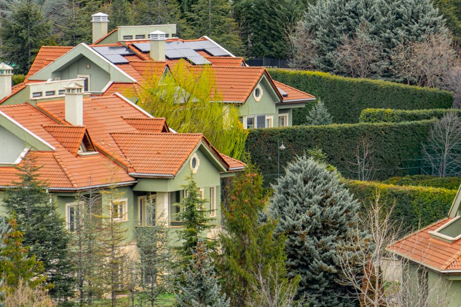 Texas Solar Panel Buyers' Complete Guide